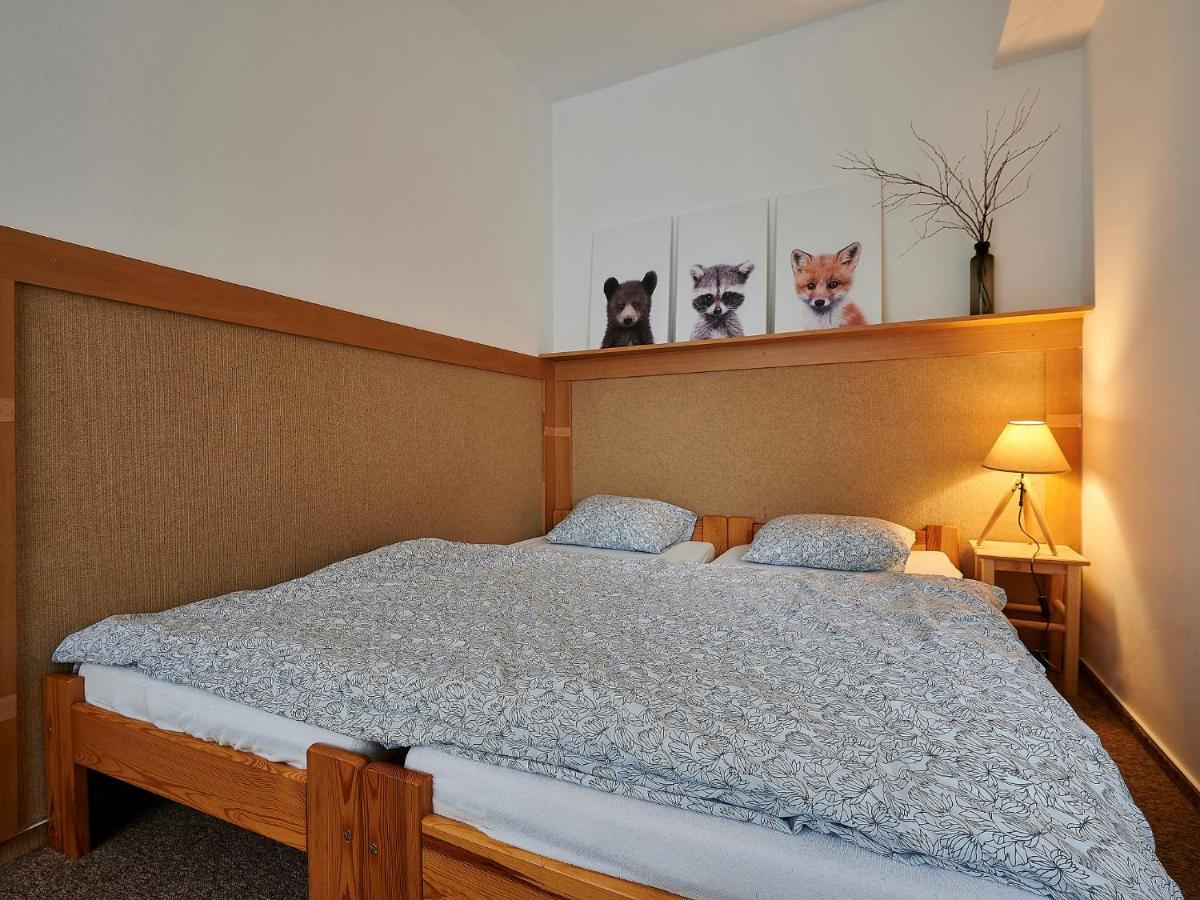 Apartment Harrachovka - Hra102 By Interhome Екстер'єр фото